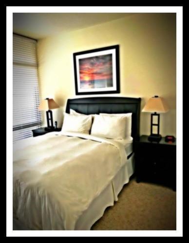 Boq Lodging In Rosslyn Washington Buitenkant foto